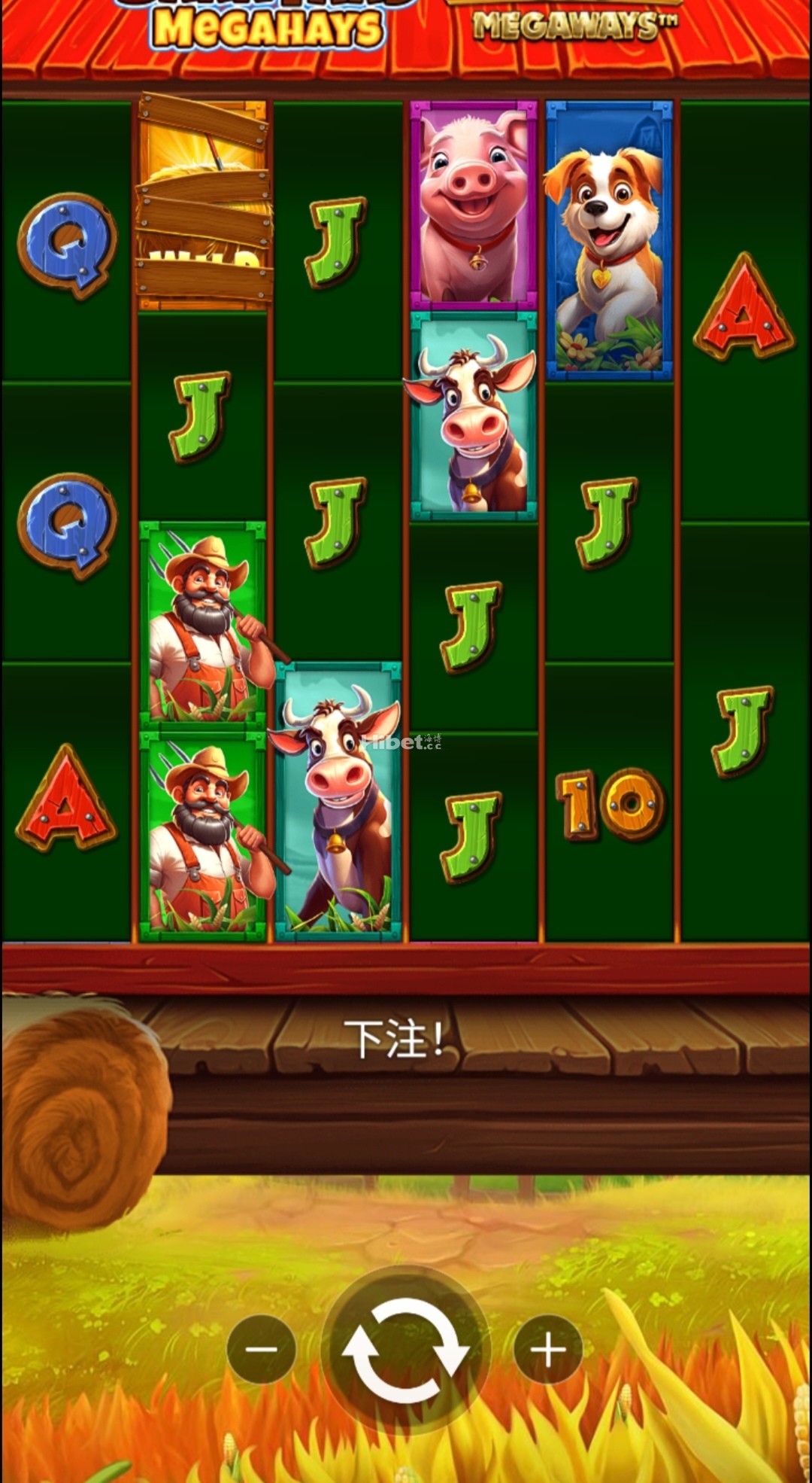 005143xd2mdu0vb5gedw79.jpg