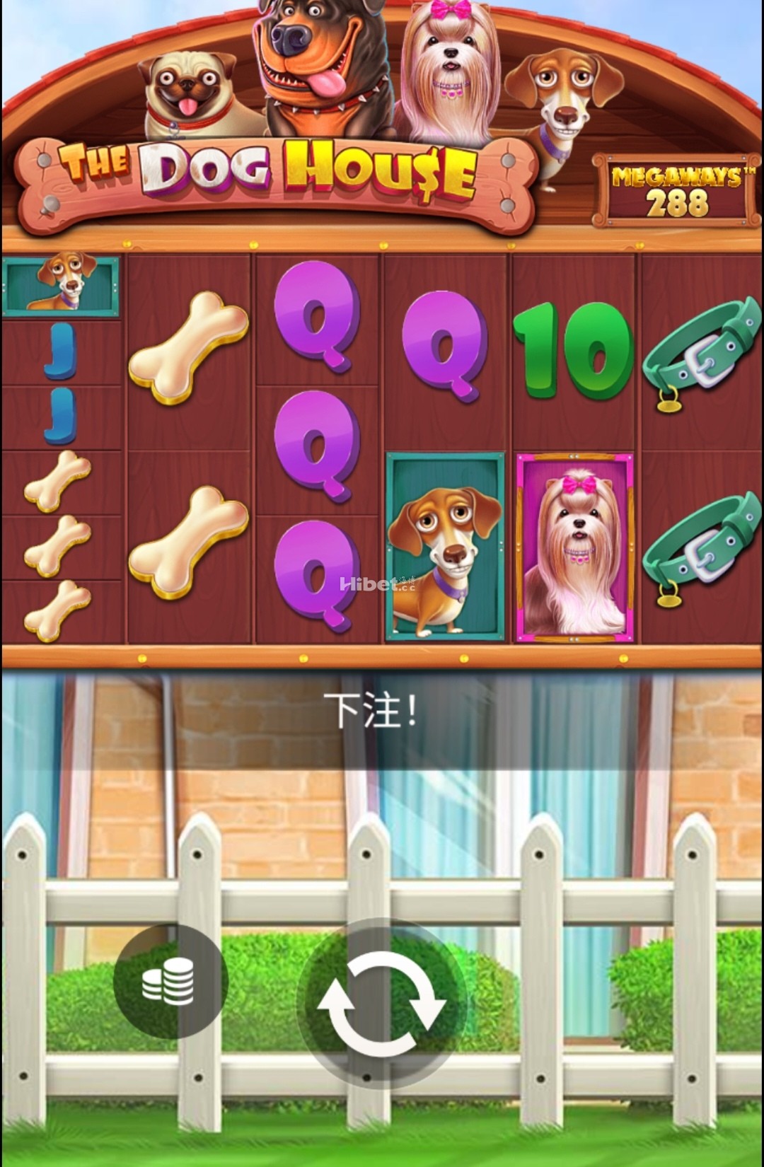 214008hgvzgaacvqvjo0va.jpg